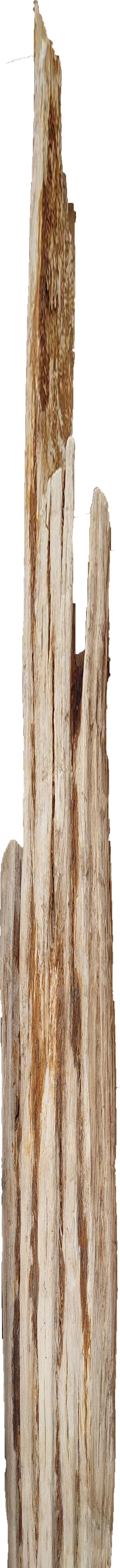 木化石　景石 | 造園資材館