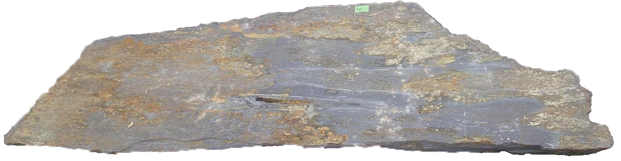 プレトパルデ　クリフロック | 造園資材館