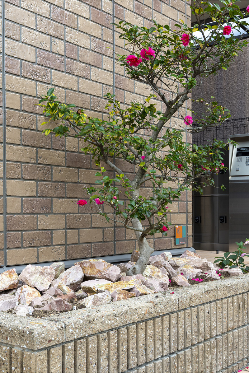 ピンクロック | 造園資材館