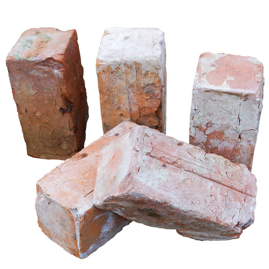 オールドベアーズ ピンク | 造園資材館