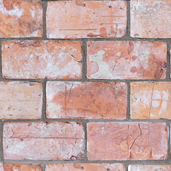 オールドベアーズ ピンク | 造園資材館