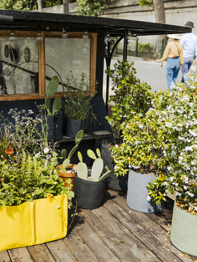 バックサック ポット ASPHALTE | 造園資材館