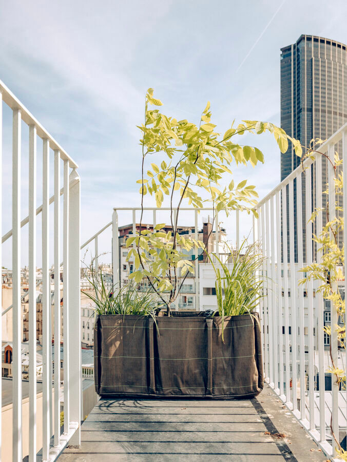 バックロング CLASSIC | 造園資材館