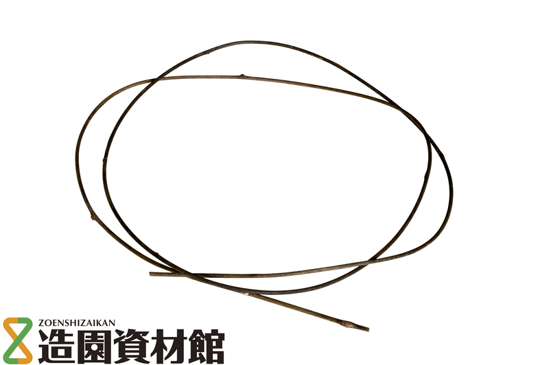 ふじづる | 造園資材館