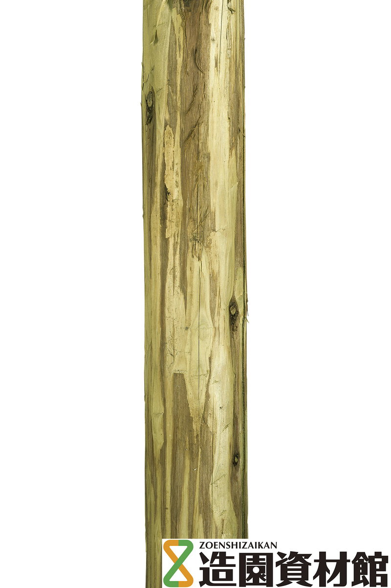 タナリスCY注入 自然肌　※横木 | 造園資材館