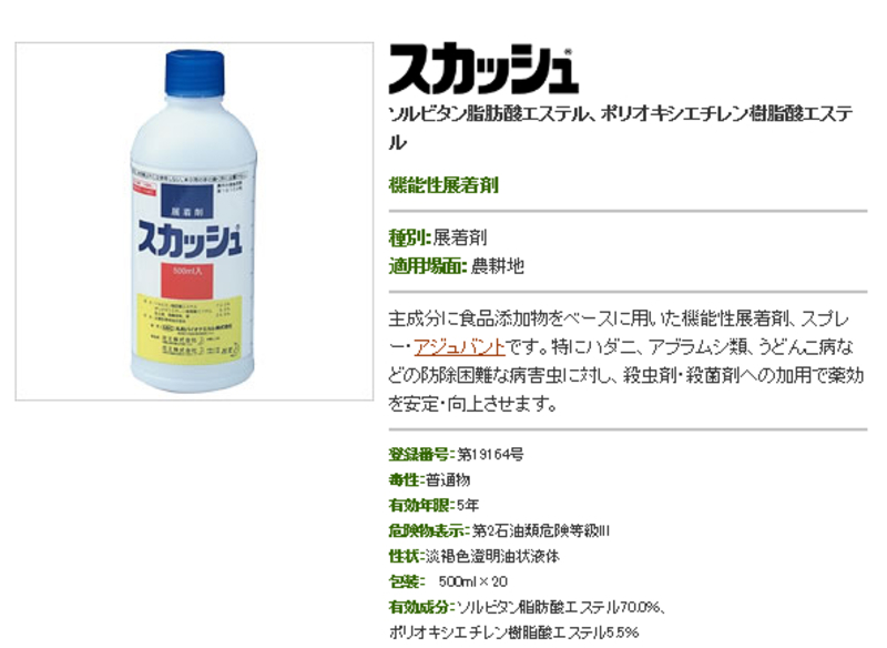 スカッシュ | 造園資材館