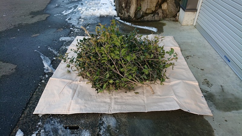 掃除用シート | 造園資材館