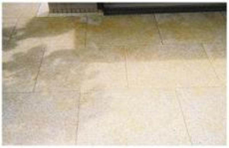 さびとれ花子　 | 造園資材館