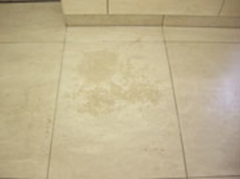 オウトロン　 | 造園資材館